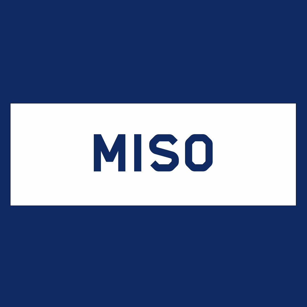 MISO: MISO: Metadata for Ionospheric and Space Weather Observations logo