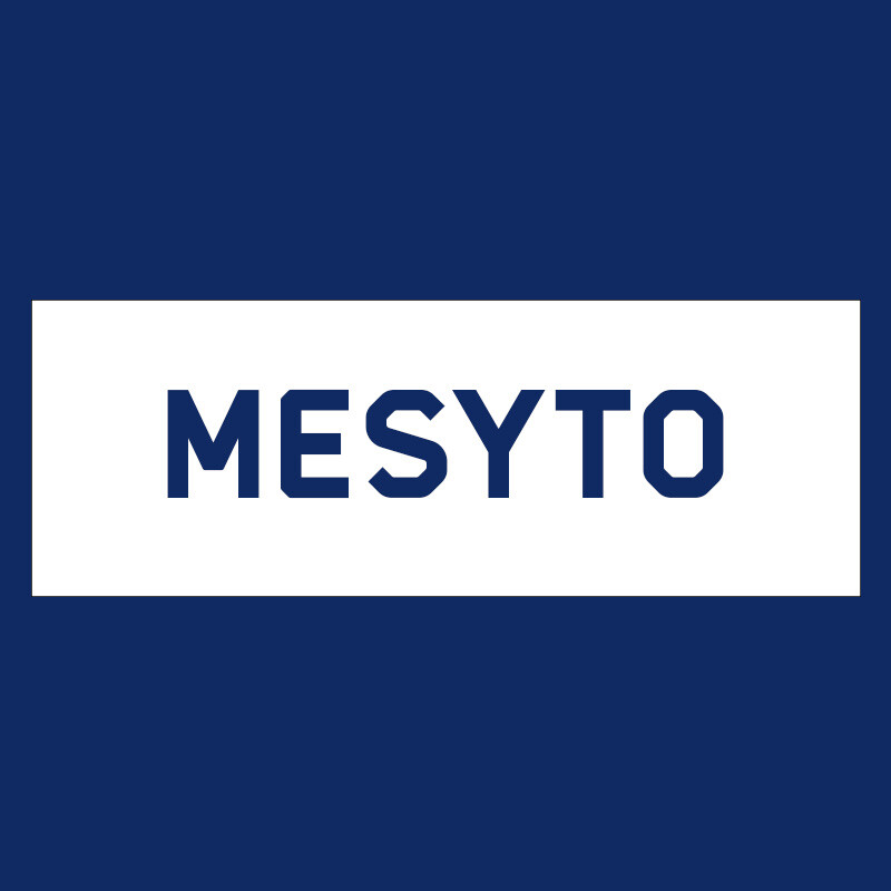 MeSyTo: MeSyTo logo