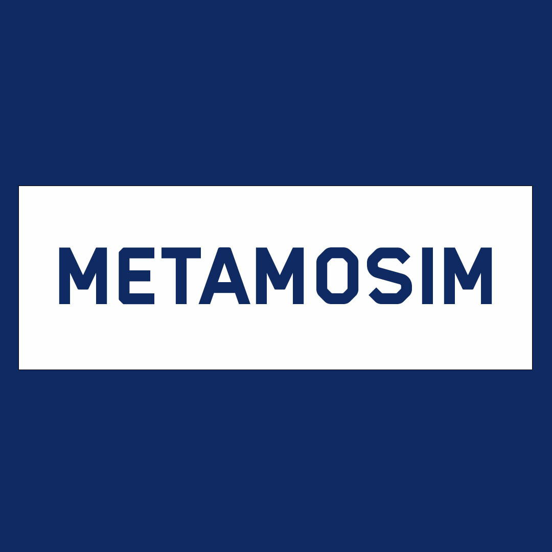 MetaMoSim: MetaMoSim: Generic metadata management for reproducible high-performance-computing simulation workflows logo