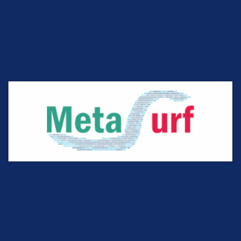 MetaSurf: MetaSurf logo