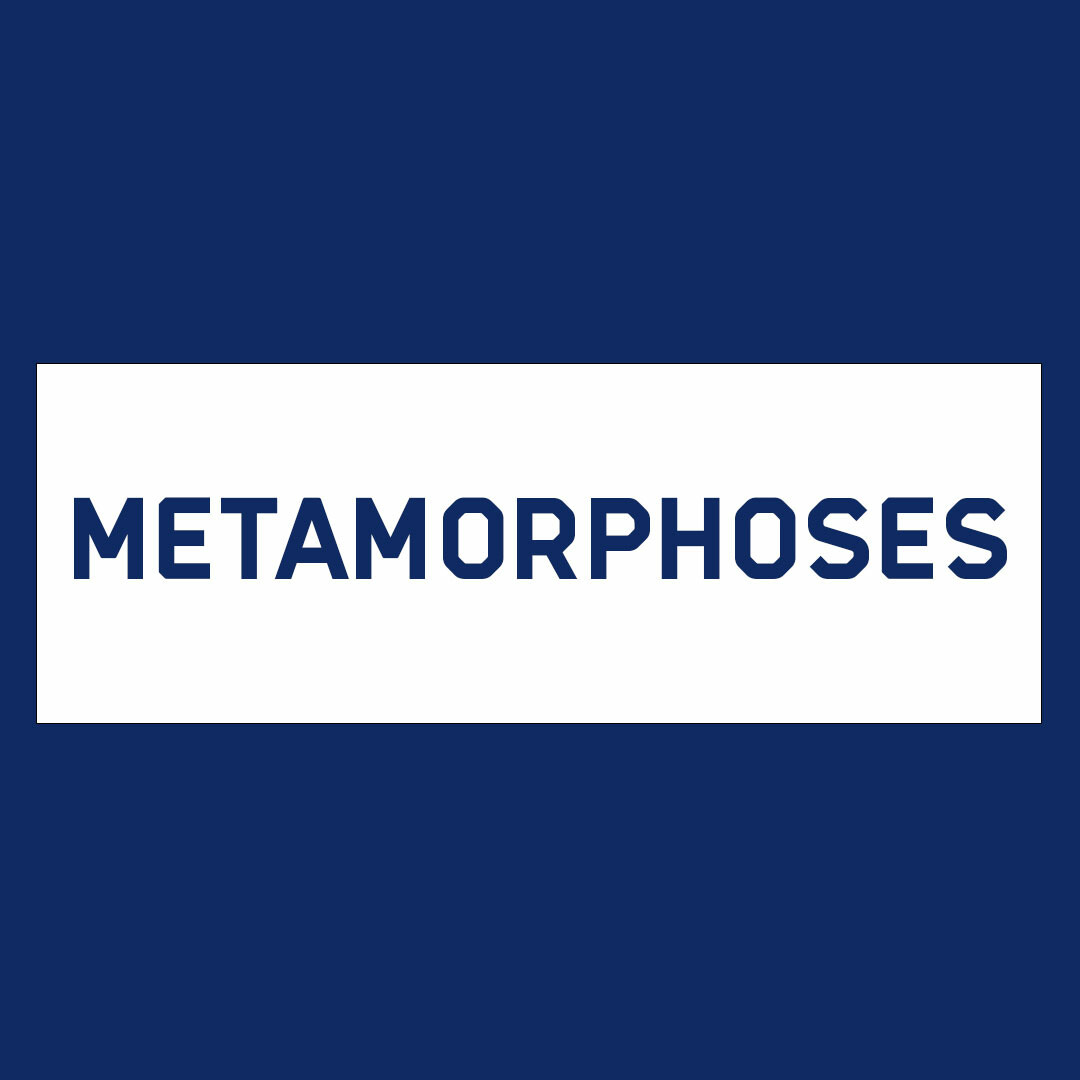 Metamorphoses: Metamorphoses: Metadata for the merging of diverse atmospheric data on common subspaces logo